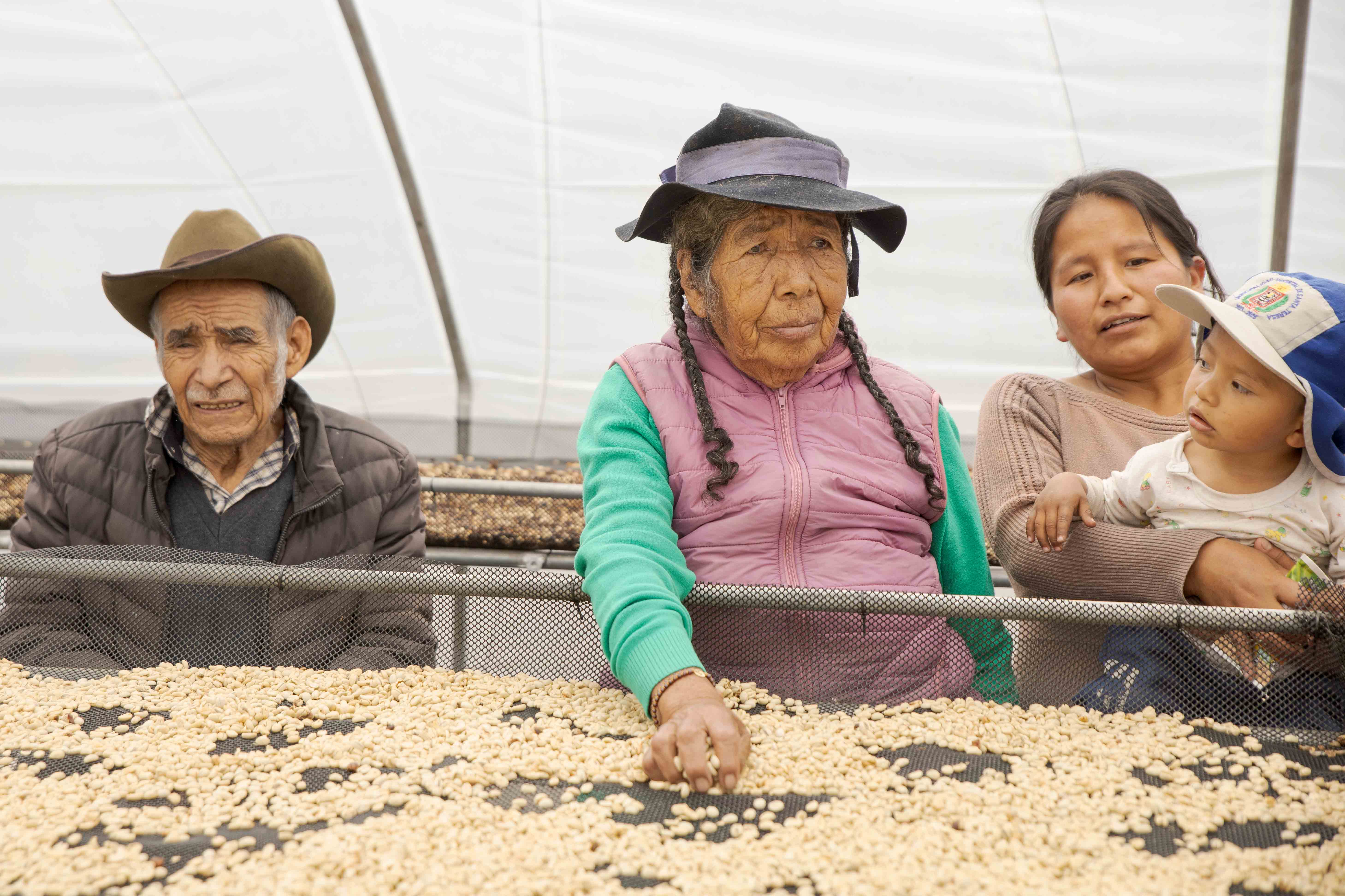 COCLA coffee cooperative Peru