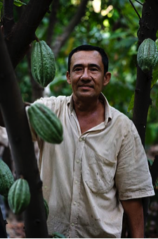 fairtrade ylevaade