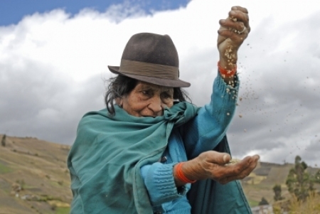 ecuadori_tdi-vike.jpg