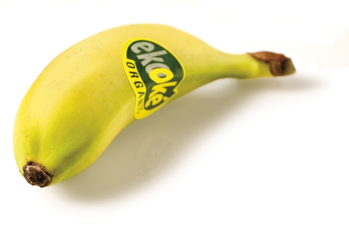 oritoekooke.jpg
