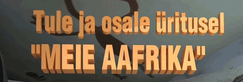 meieaafrika_banner_sml.gif